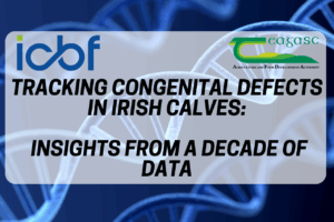 Tracking Congenital Defects in Irish Calves: Insights from a Decade of Data