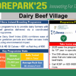 Moorepark Open Day 2025 – Gene Ireland Dairy Beef Programme Overview
