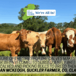 From Birth to Breeding: County Clare Suckler Herd Embraces DNA Technology