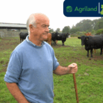 DNA Data Driving Better Breeding Decisions on a Laois Suckler Farm