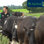 How genotyping is boosting profitability for Co. Tipperary dairy farmer