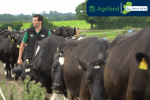 How genotyping is boosting profitability for Co. Tipperary dairy farmer