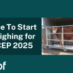 Time To Start Weighing for SCEP 2025