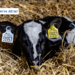 Closing date for NGP applications – Friday 19th September