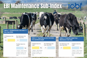 Read more about the article EBI Maintenance Sub-Index – What has changed?