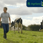 Genotyping from the Start: Lessons from the Lisduff Herd as NGP Deadline Approaches