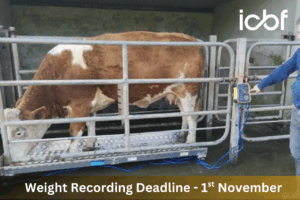 Weight recording deadlines fast approaching