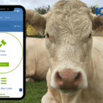 New SCEP-Eligible Filter Added to Mart Tracker — Don’t Miss the 31st October Female Deadline