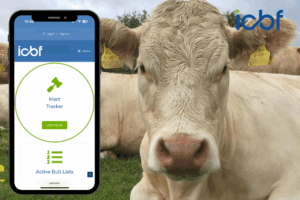 New SCEP-Eligible Filter Added to Mart Tracker — Don’t Miss the 31st October Female Deadline