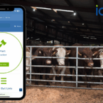 Save Time and Buy Smarter with the ICBF Mart Tracker