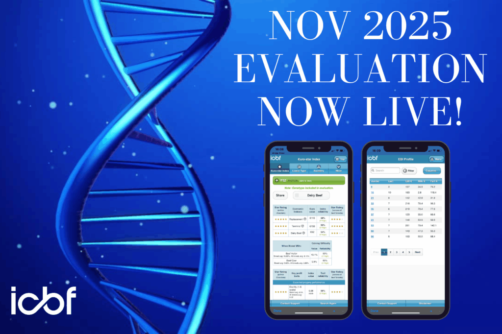November Evaluation Now Live!