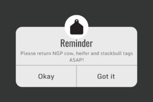 Read more about the article Reminder: NGP Tags to be returned ASAP!