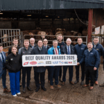 Beef Quality Awards Celebrate the Role of Genetics in Driving Profitability on Irish Farms