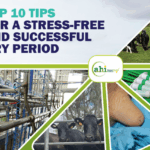 Animal Health Ireland’s Top10 Tips for a Stress Free & Successful Dry Period