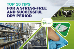 Read more about the article Animal Health Ireland’s Top10 Tips for a Stress Free & Successful Dry Period