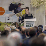 Teagasc National Beef Conference – The myostatin gene in beef breeding: balancing muscling and calving ease
