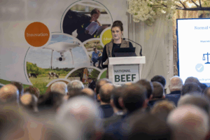 Read more about the article Teagasc National Beef Conference – The myostatin gene in beef breeding: balancing muscling and calving ease