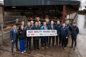 Read more about the article Beef Quality Awards Celebrate the Role of Genetics in Driving Profitability on Irish Farms