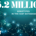 ICBF Advances Genomic Capacity with Major Upgrade Ahead of 2026 Evaluations