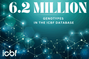 Read more about the article ICBF Advances Genomic Capacity with Major Upgrade Ahead of 2026 Evaluations