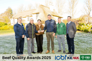 Read more about the article Data, Discipline and CBV Underpinning Performance on the Finnerty Farm