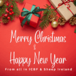 Happy Christmas from all at ICBF