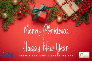 Read more about the article Happy Christmas from all at ICBF