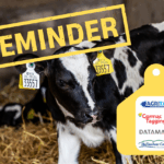 NGP: Have you ordered your 2026 calf tags?