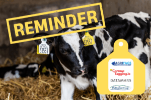 Read more about the article NGP: Have you ordered your 2026 calf tags?