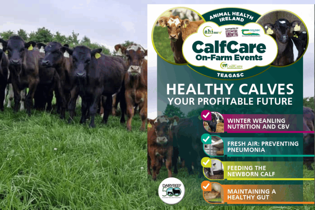 AHI & Teagasc Calf Care Events