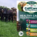 AHI & Teagasc Calf Care Events
