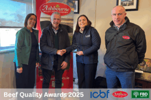 Continental Quality & High CBVs Driving Performance on the Conway Farm