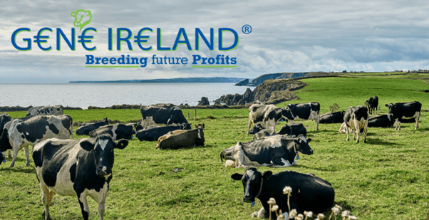 Dairy G€N€ IR€LAND 2026 – The Future of Dairy Genetics