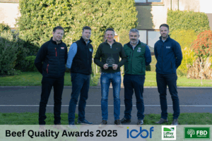 Efficiency and Commercial Beef Value drive performance and profitability on the Reilly farm