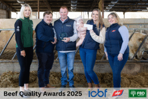 From Calf Quality to Carcass Results: Brendan Stack’s CBV‑Focused Finishing System