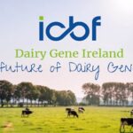 The Contribution of the Dairy Gene Ireland Programme to Genetic Progress