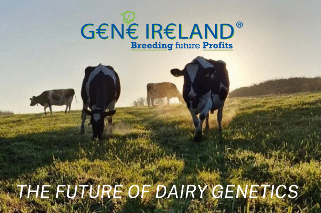 Answering Farmers Key Questions on Dairy Gene Ireland