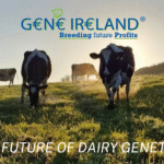 Answering Farmers Key Questions on Dairy Gene Ireland