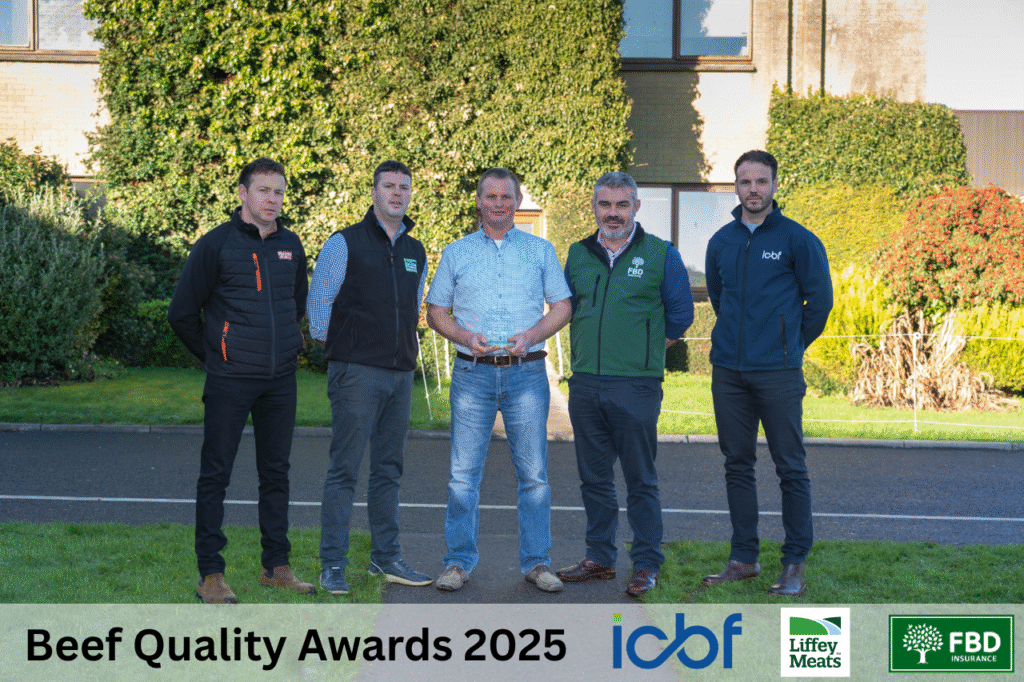 Turning Genetics Into Real Results with CBV‑Driven Dairy Beef Finishing on the Bailey Farm