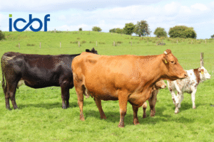 SCEP: Your Essential Guide to Genotyping Requirements and Deadlines