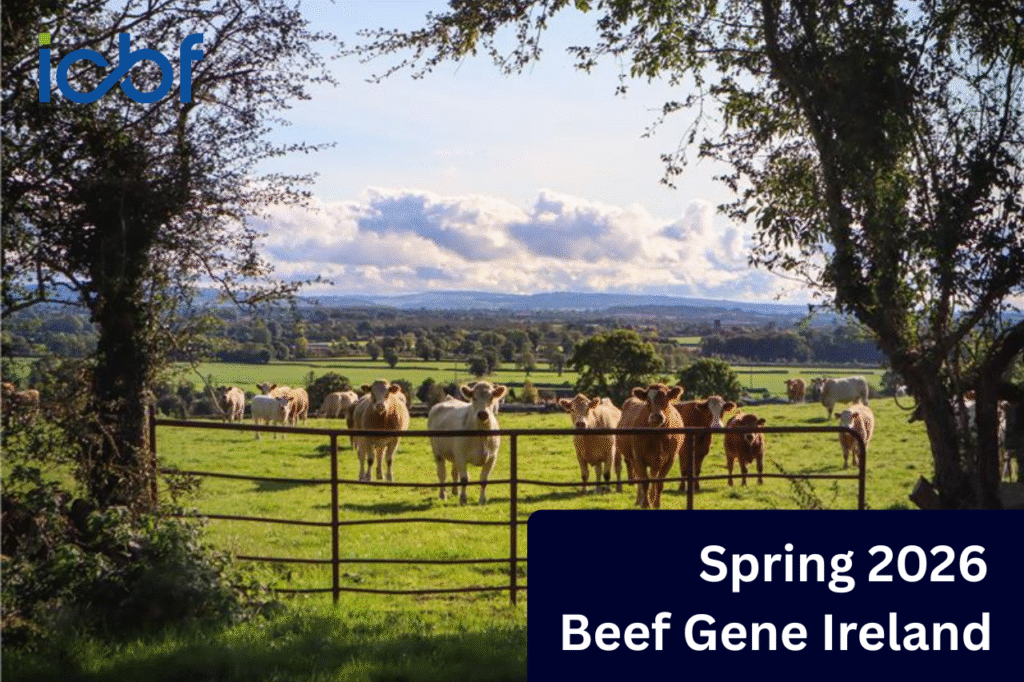 Gene Ireland Suckler Beef Panel Spring 2026: Driving Genetic Gain for the Suckler Herd