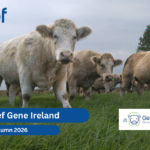Gene Ireland Beef Panels Launched for Autumn 2026