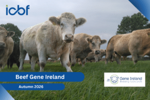 Gene Ireland Beef Panels Launched for Autumn 2026