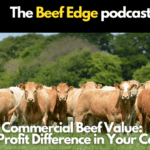 Commercial Beef Value (CBV): The Profit Difference in Your Cattle