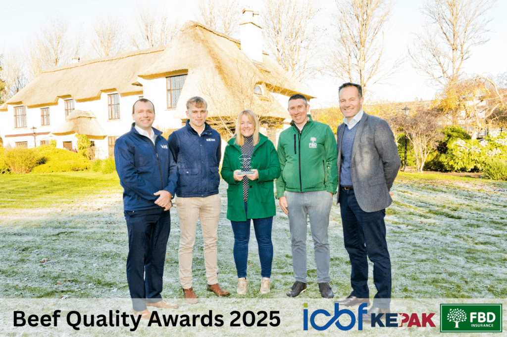 Genetics, Management and Market Fit: CBV in Action on the Walsh Farm