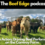 CBV in Action: Driving Beef Performance on the Conway Farm
