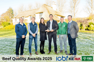 Read more about the article Strong Management and Smart Sourcing Behind Standout Dairy–Beef Performance