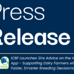 ICBF Launches Sire Advice on the HerdPlus App – Supporting Dairy Farmers with Faster, Smarter Breeding Decisions for 2026