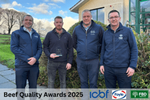 Read more about the article Data‑Driven Dairy‑Beef: How CBV Powers Performance on the McElhinney Farm