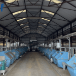 Producing More Beef from Less Feed with the Commercial Beef Value